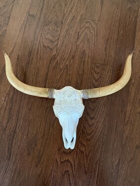 White & Tan Decorative Longhorn Skull Wall Art